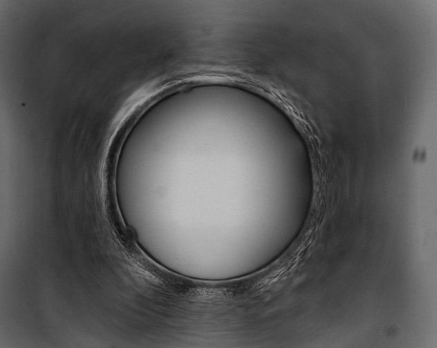 X0000100920296200806241120