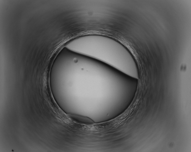 X0000100920297200806241120