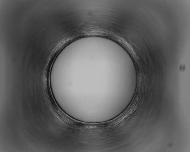 X0000100920298200806241120