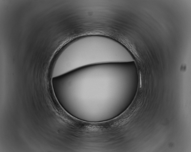 X0000100920300200806241120