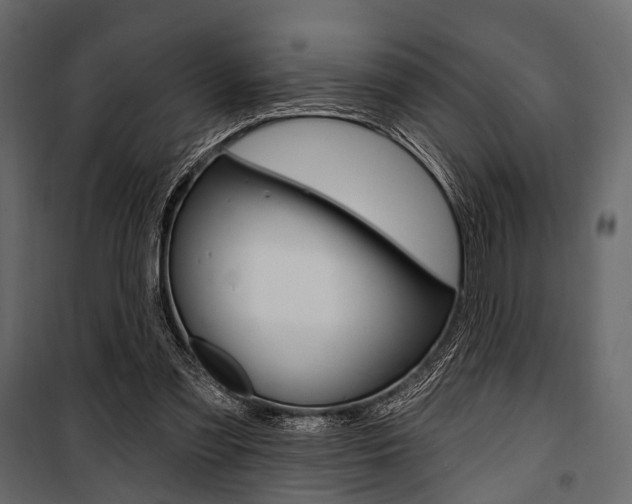 X0000100920301200806241120