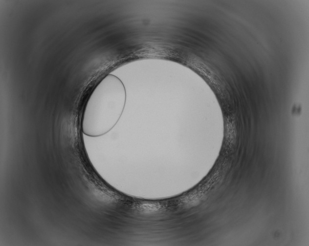 X0000100920302200806241120