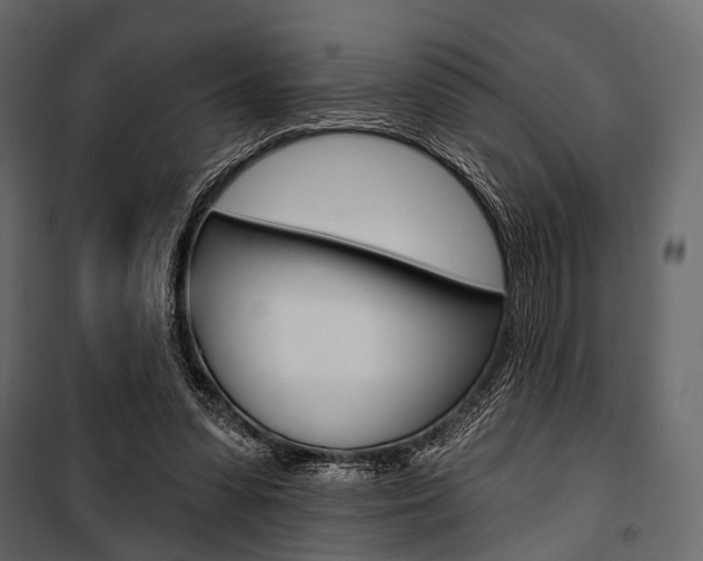 X0000100920303200806241120