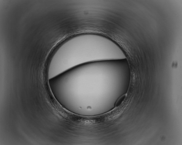 X0000100920304200806241120