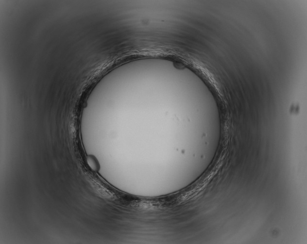 X0000100920305200806241120