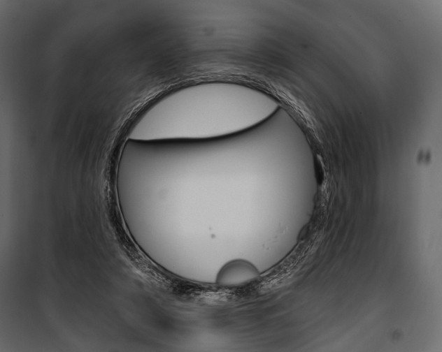 X0000100920306200806241120
