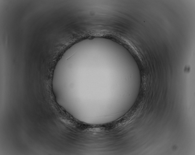 X0000100920307200806241120