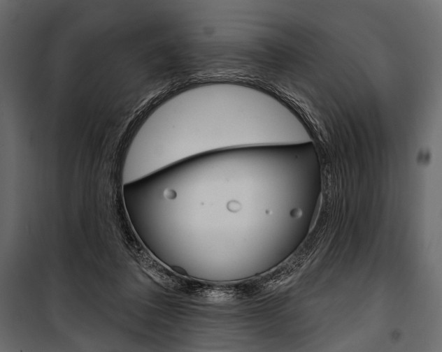 X0000100920308200806241120
