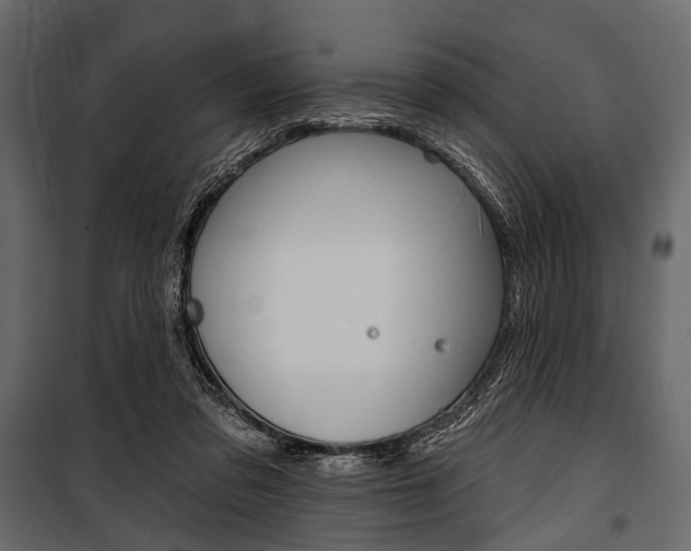 X0000100920309200806241120
