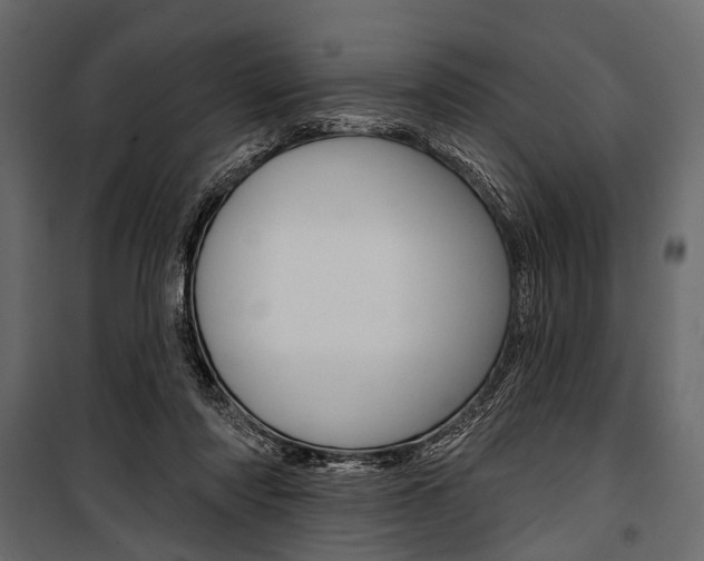 X0000100920310200806241119