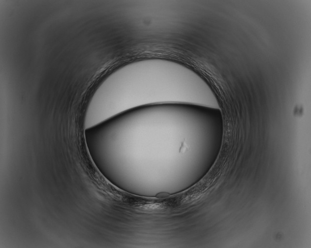 X0000100920312200806241119
