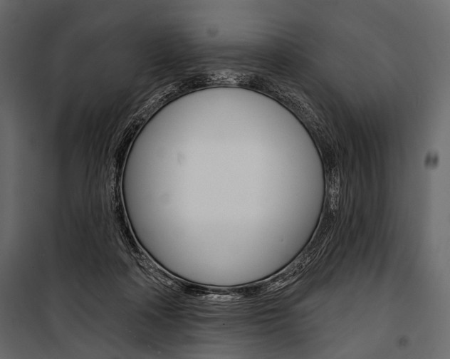 X0000100920314200806241119