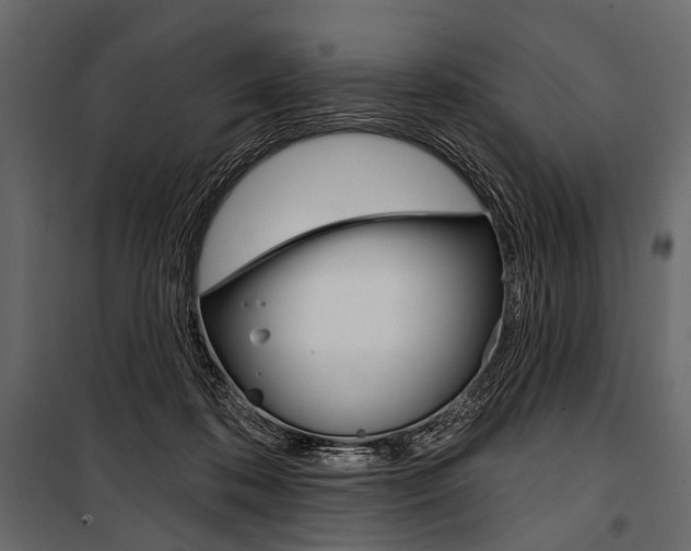 X0000100920316200806241119