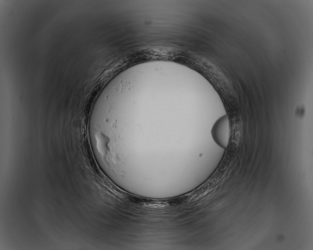 X0000100920318200806241119
