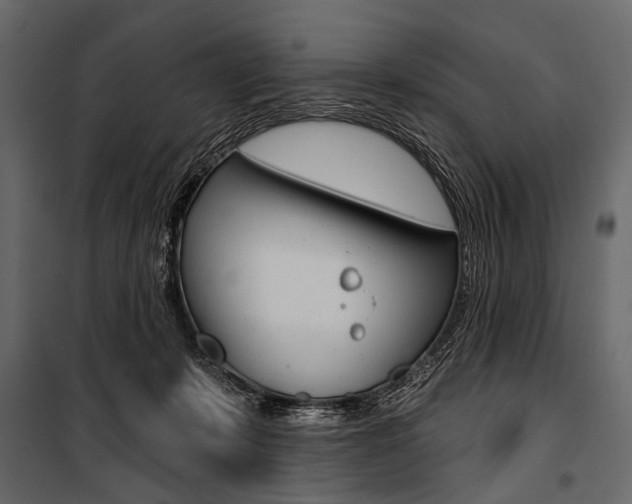 X0000100920319200806241119