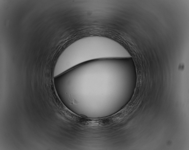 X0000100920320200806241119