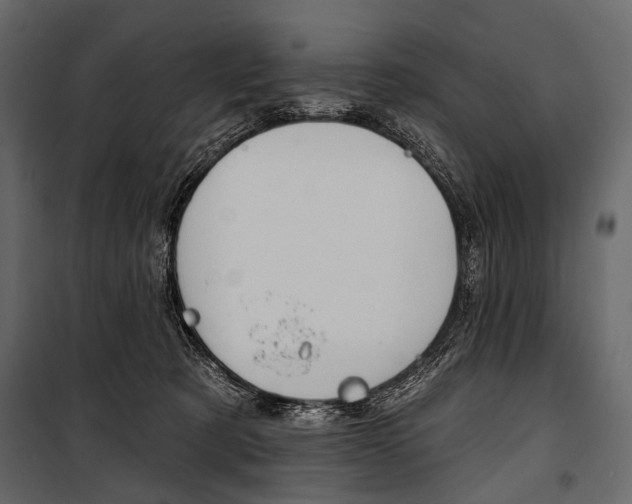 X0000100920321200806241119