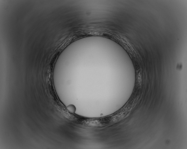 X0000100920322200806241119