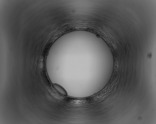 X0000100920323200806241119