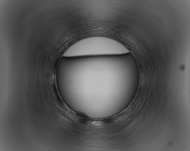X0000100920324200806241119