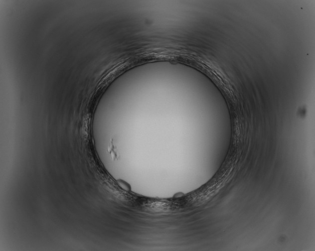 X0000100920325200806241119