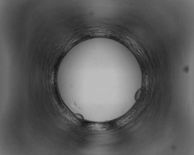 X0000100920326200806241119
