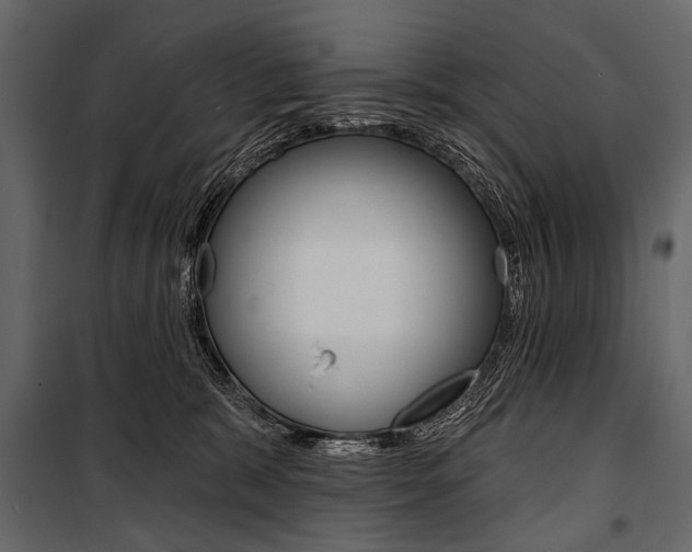 X0000100920327200806241119