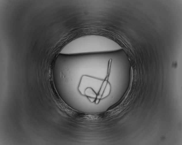 X0000100920328200806241119