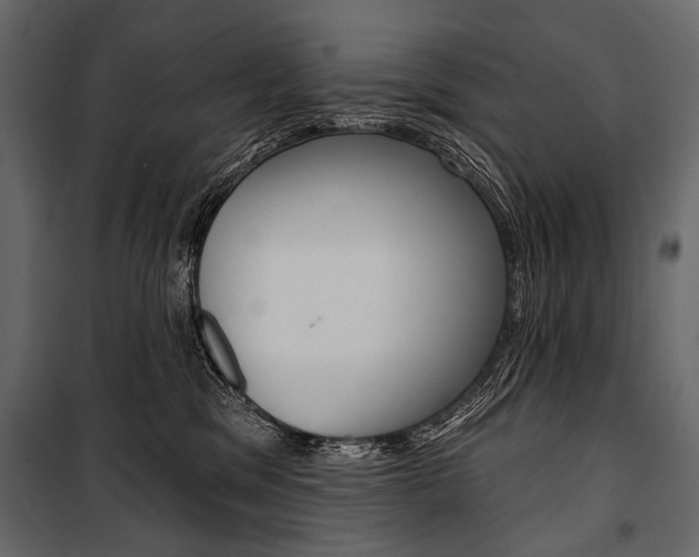 X0000100920329200806241119