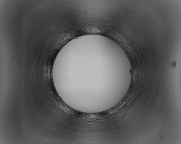 X0000100920330200806241119