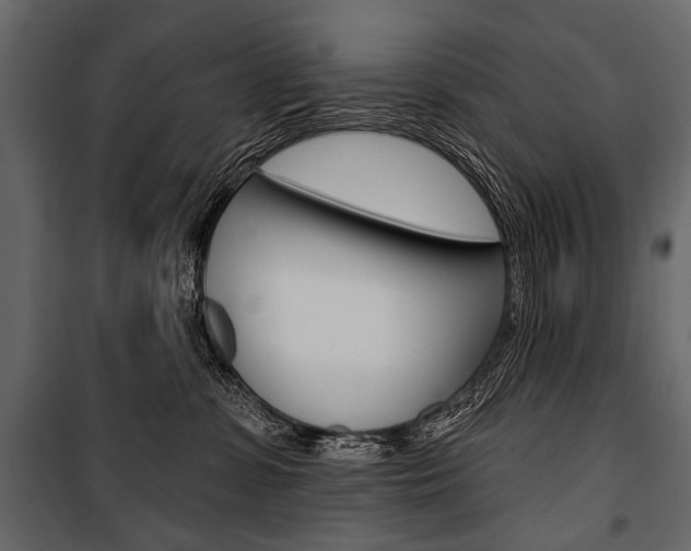 X0000100920331200806241119