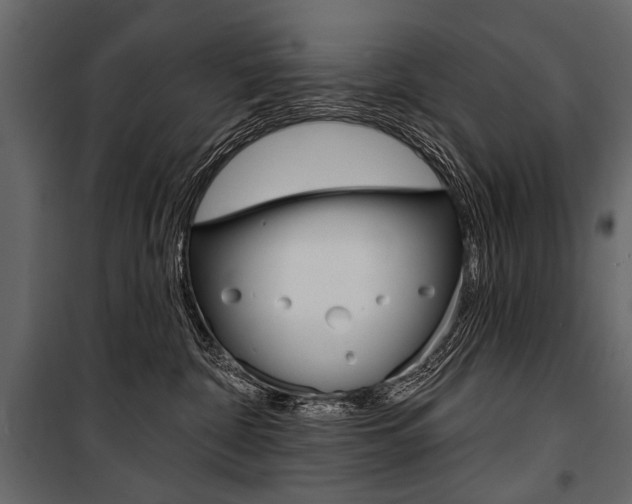 X0000100920332200806241119