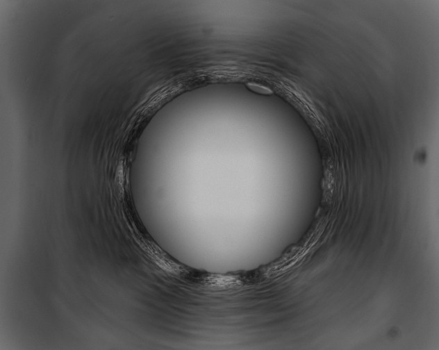 X0000100920333200806241119