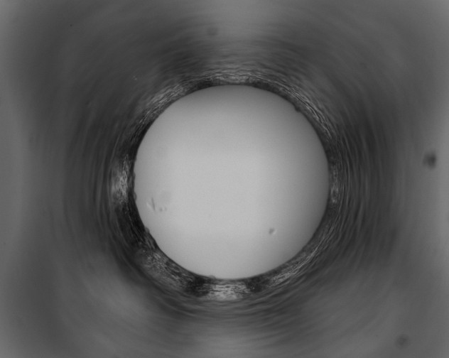 X0000100920334200806241119