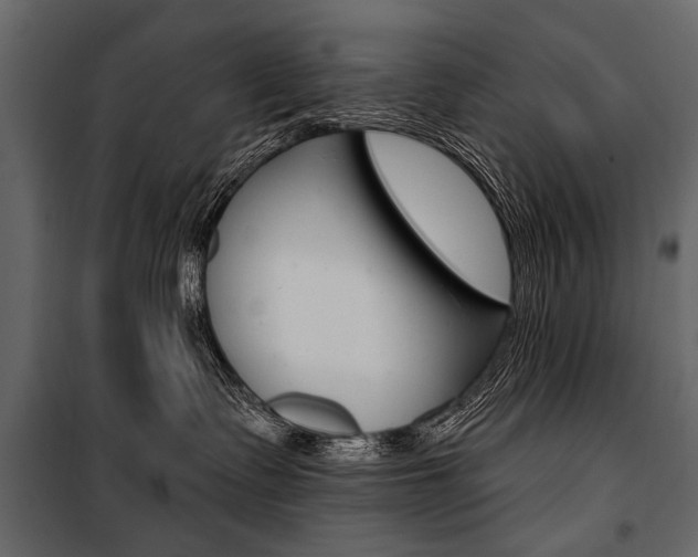 X0000100920335200806241119