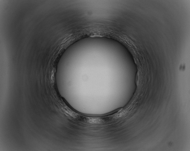 X0000100920336200806241119