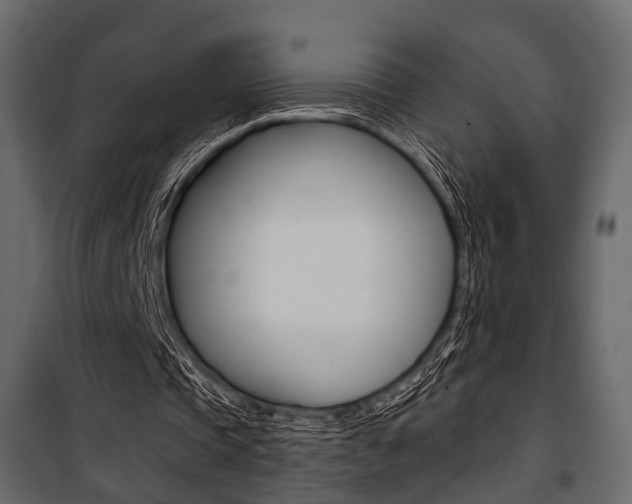 X0000100920337200806241118