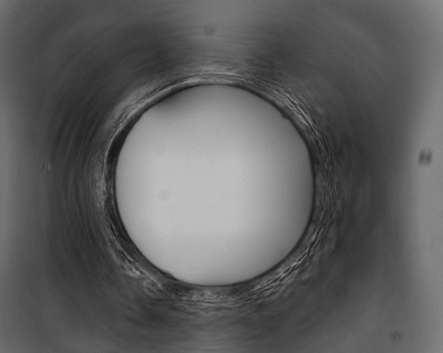 X0000100920338200806241118