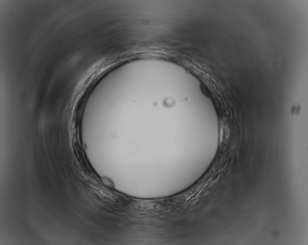 X0000100920339200806241118