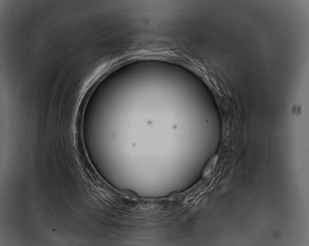 X0000100920340200806241118