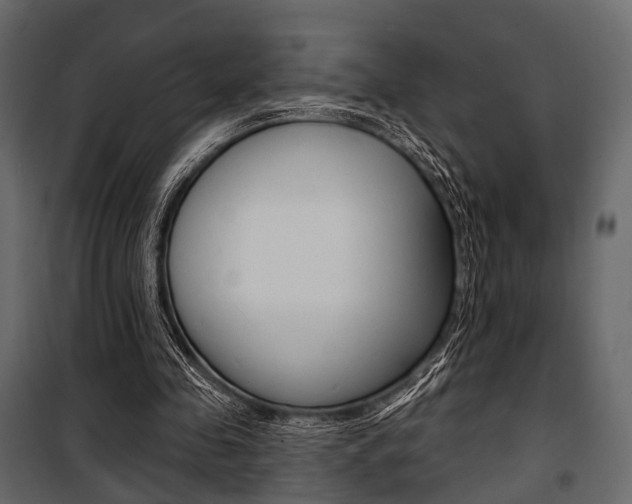 X0000100920341200806241118