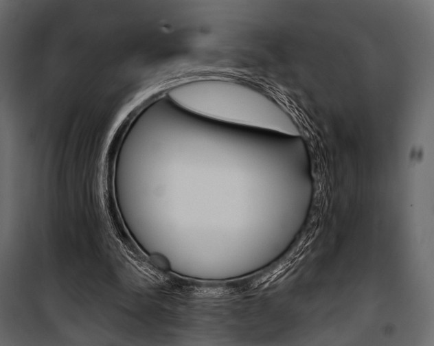 X0000100920342200806241118
