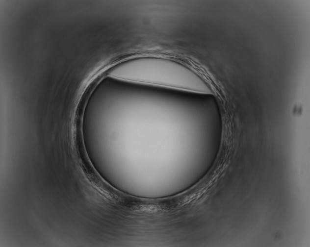 X0000100920344200806241118