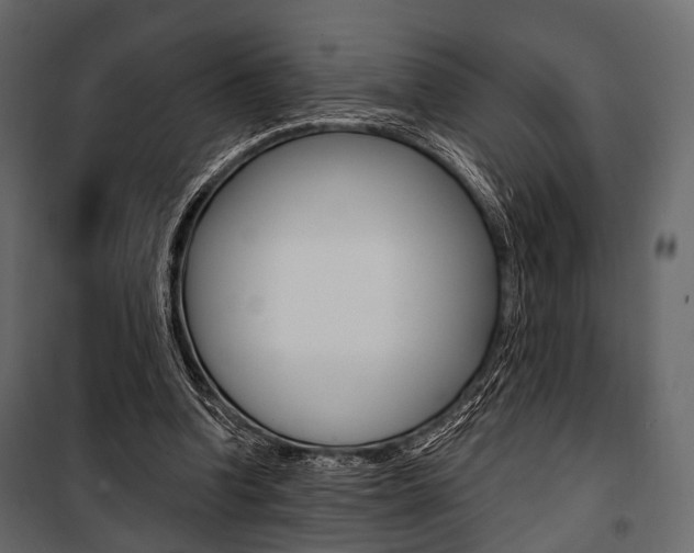 X0000100920346200806241118