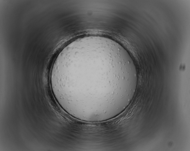 X0000100920347200806241118