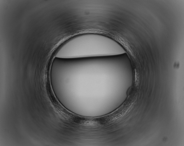X0000100920348200806241118