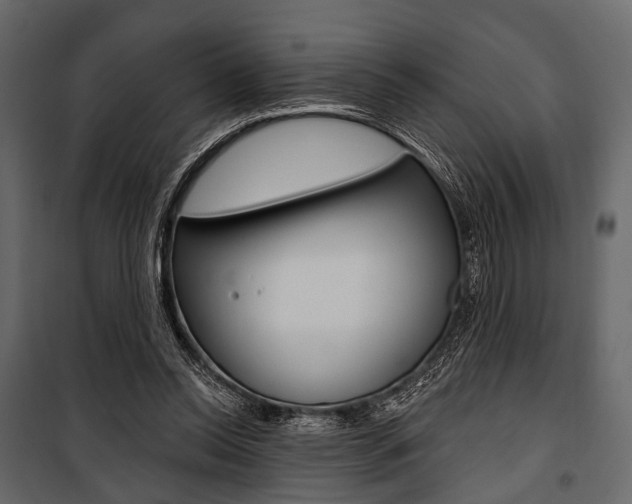 X0000100920350200806241118