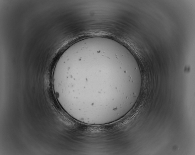 X0000100920351200806241118