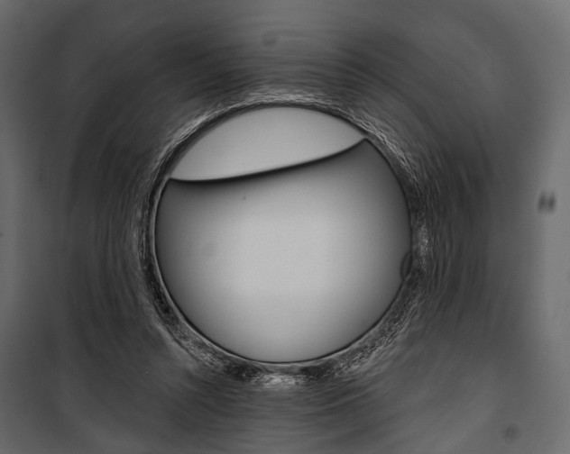 X0000100920352200806241118