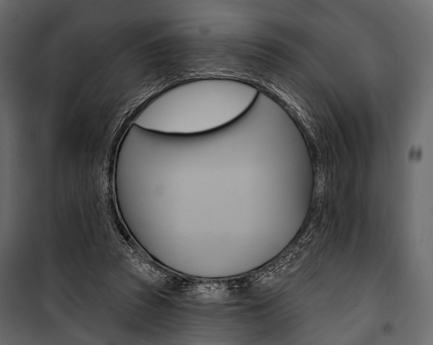X0000100920353200806241119